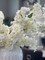 White Silk Cherry Blossom Flower Branches, 40&#x22;, Set of 3